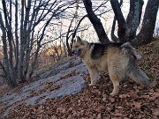 19 Sul sent 571 variante alta del Monte Picchetto per il Pertus e il Monte Ocone